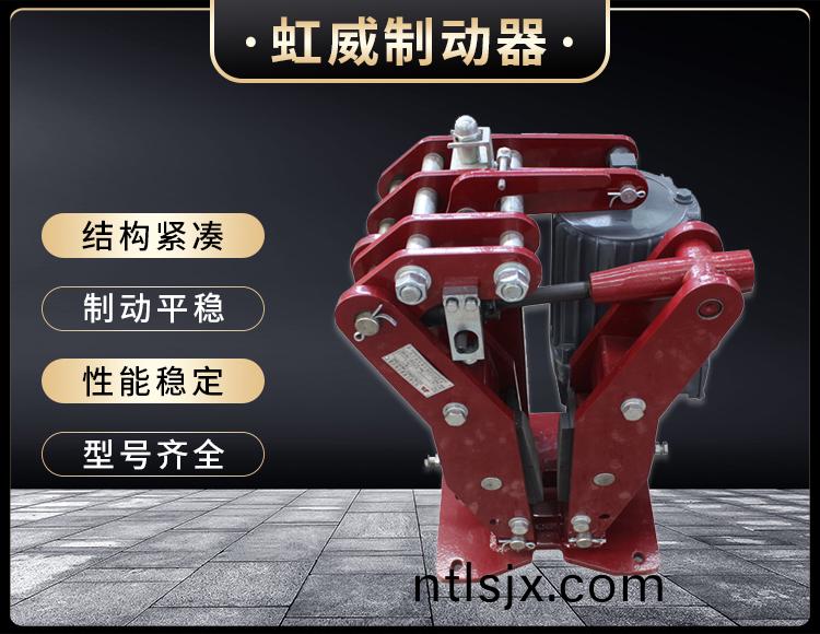 YPZ2-IV-V-VI型電(dian)力(li)液(ye)壓(ya)盤式製動(dong)器