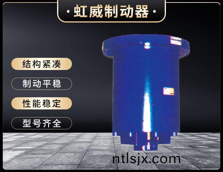 YDGZ(直動式(shi))液壓(ya)頂軌製(zhi)動器(qi)