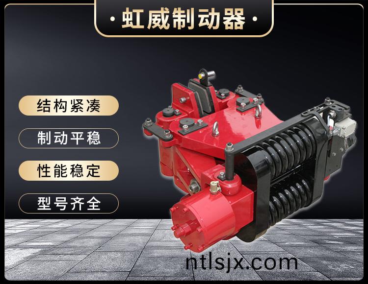 SBD-B係列液(ye)壓(ya)安(an)全(quan)製(zhi)動(dong)器